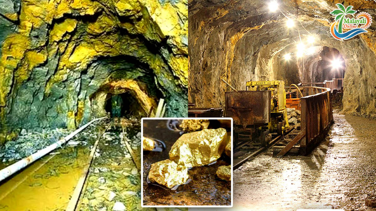 gold mine in madina 1