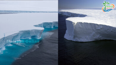 ice berg 1