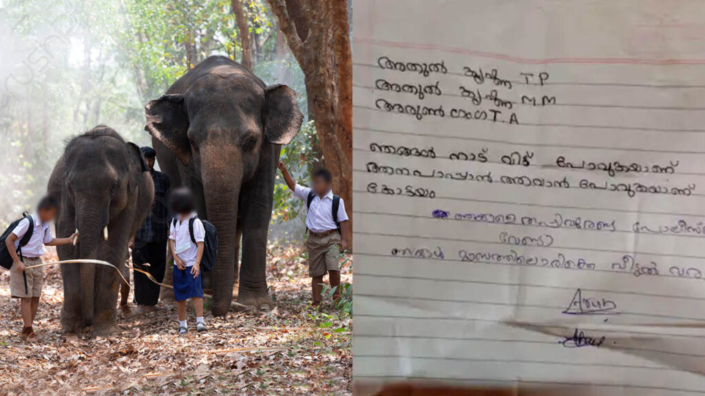 kids to became elephant driver1