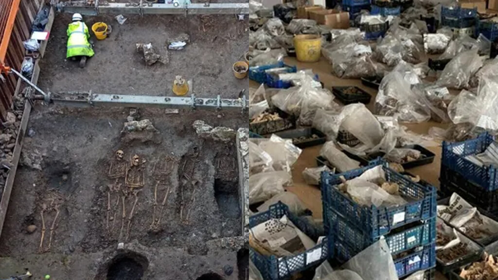 240 Deadbodies found 1