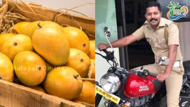 MANGO THIEF POLICE 1