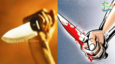 WOMEN stabed husband 1