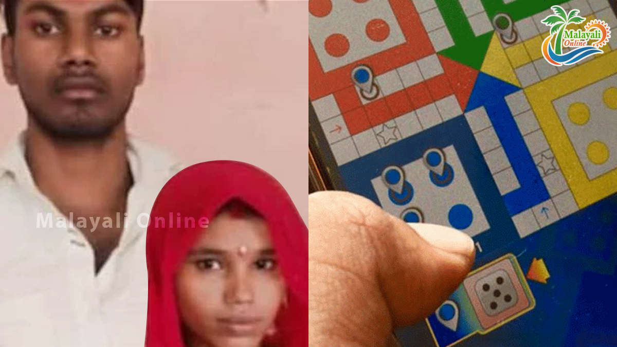 online ludo 1