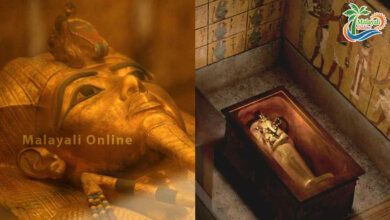 tutankhamunnn tomb 1