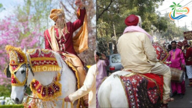 North indian wedding