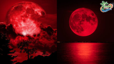 red moon 1