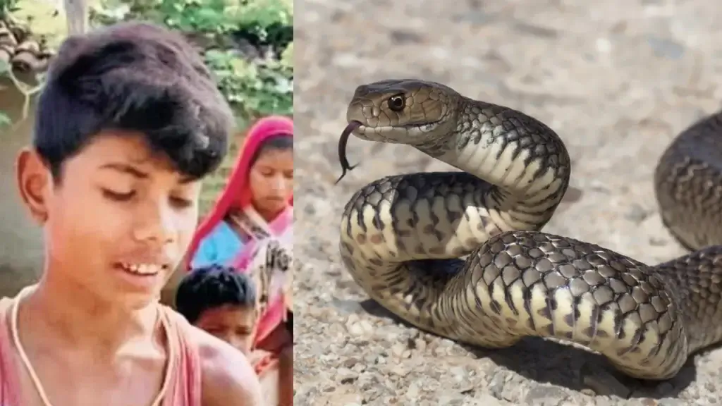 snaek bite 1