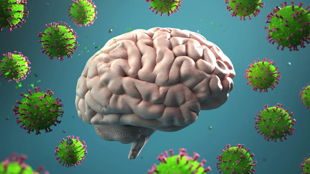 covid virus brain 1