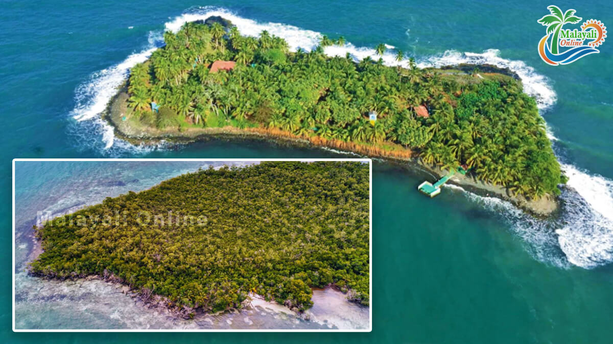 island for sale 1 1